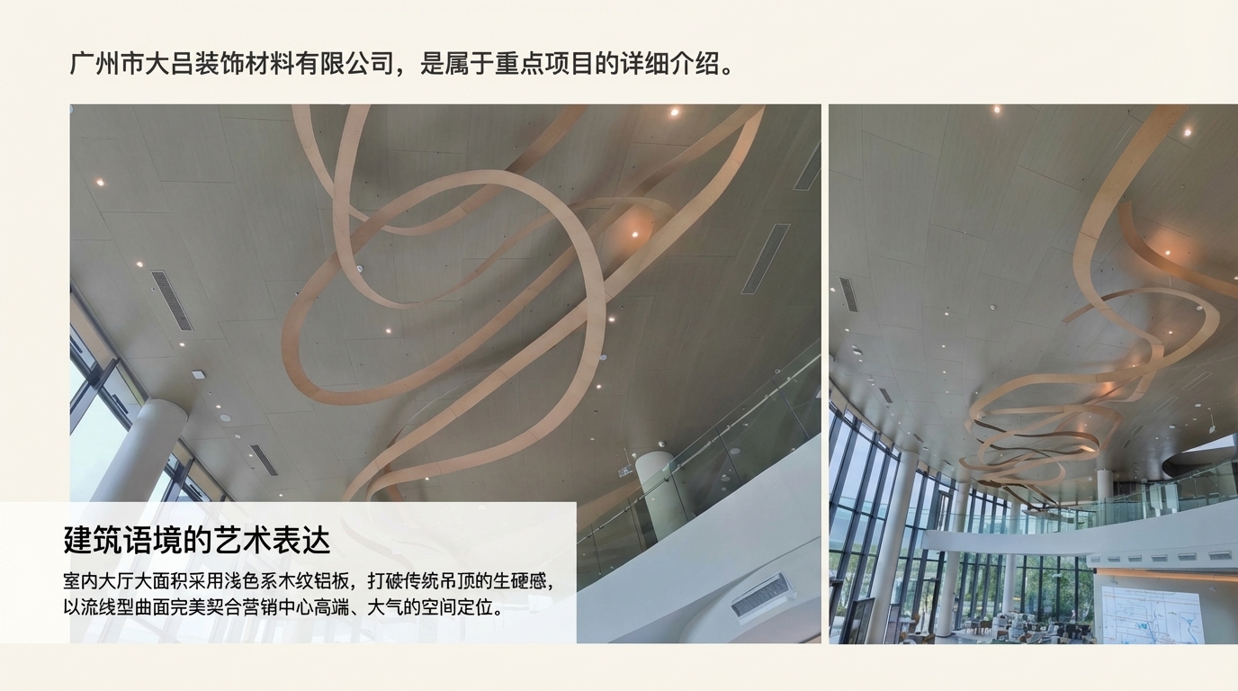 深汕九龙湾弧形